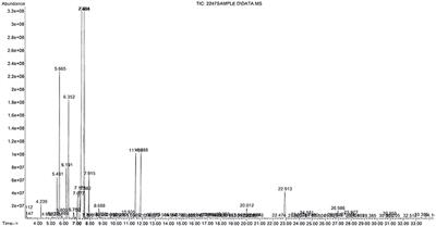 Combination of Cloxacillin and Essential Oil of Melaleuca armillaris as an Alternative Against Staphylococcus aureus